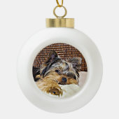 キュートティーカップヨークシャーテリアヨークシャーテリアデジタルアート セラミックボールオーナメント (正面)