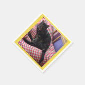 キュートデイブ紙ナプキンス スタンダードカクテルナプキン (角)