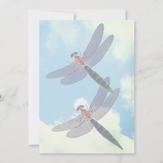 キュートドラゴンフライブルースカイ自然パーティー 招待状 (裏面)