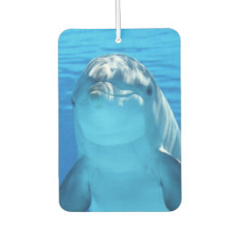 キュートドルフィンニコニコ海ドルフィン恋人 カーエアーフレッシュナー