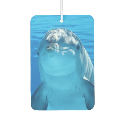 キュートドルフィンニコニコ海ドルフィン恋人 カーエアーフレッシュナー (正面)