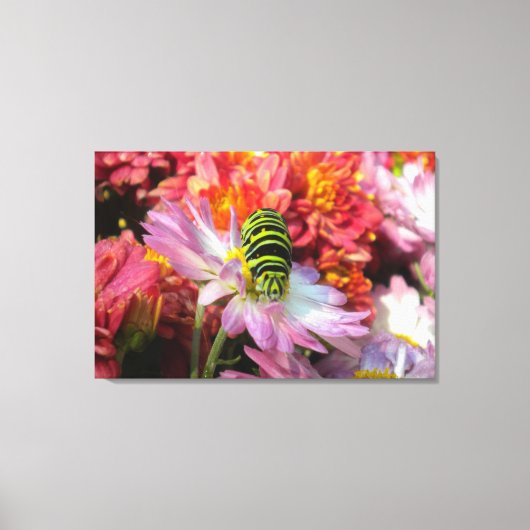 キュートノイキャタピラーヌムスキャンバスプリント キャンバスプリント (正面)