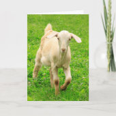 キュートハッピーリトルヤギ誕生日 カード (正面)