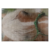 キュートハフリンガーホース顔動物 カッティングボード (正面)