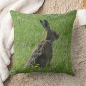 キュートハレイングラス装飾用クッション クッション (ブランケット)