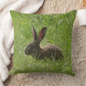 キュートハレクローズアップ装飾用クッション クッション (ブランケット)