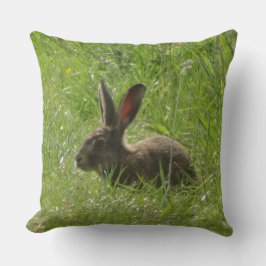 キュートハレクローズアップ装飾用クッション クッション