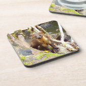 キュートパインマーテン懸命プラスチック6コースターセット コースター (左側)