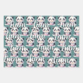 キュートパンダパターン誕生日ボーイグリーン ラッピングペーパーシート (正面)