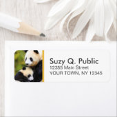 キュートパンダベアカスタム住所 シール (インサイチュ)