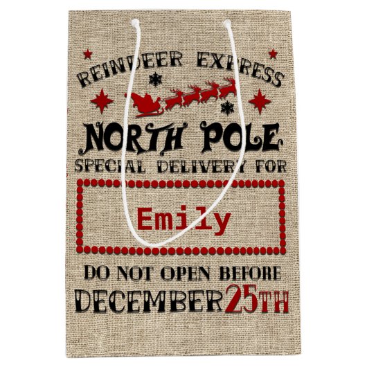 キュートパーソナライズされたオフィシャルサック抱き枕 ミディアムペーパーバッグ (正面)