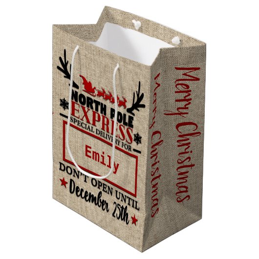 キュートパーソナライズされたオフィシャルサック抱き枕 ミディアムペーパーバッグ (正面アングル)