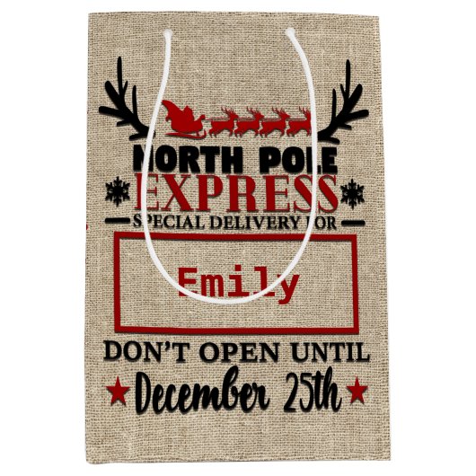 キュートパーソナライズされたオフィシャルサック抱き枕 ミディアムペーパーバッグ (正面)