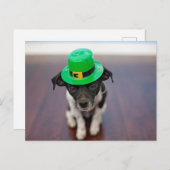 キュートパーソナライズされたセントパトリックの日チワフアドッグ シーズンポストカード (正面/裏面)