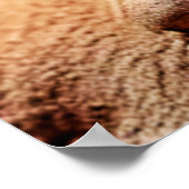 キュートヒョウGECKOサンセットデザートデザイン ポスター (角)