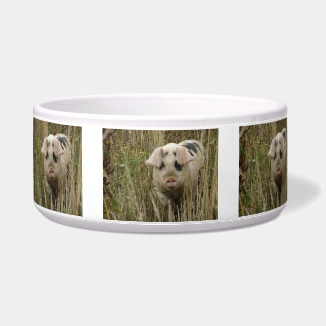 キュートピグペットボウル ボウル (正面)
