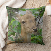 キュートファローディアクローズアップ装飾用クッション クッション (ブランケット)