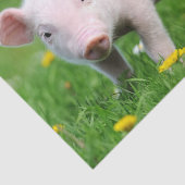 キュートファームリビングバーンピンクピグレット 薄葉紙 (詳細)