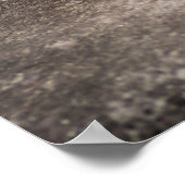 キュートフェンネックキツネ ポスター (角)