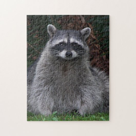 キュートフォレストラクーン自然 ジグソーパズル (縦)