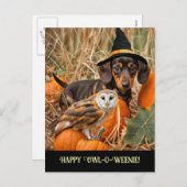 キュートフクロウダッチシュントハッピーハローウィン シーズンポストカード (正面/裏面)