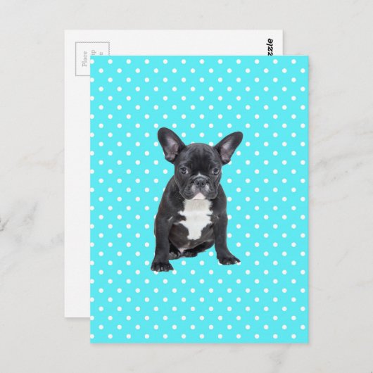 キュートフランスのブルドッグパピーブルー水玉模様 ポストカード (正面/裏面)