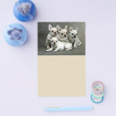 キュートフランスのブルドッグパピー チラシ (シングル)