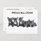 キュートフランスのブルドッグパピー ポストカード (正面/裏面)