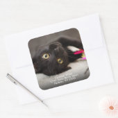 キュートブラックキャット差出人住所 スクエアシール (封筒)