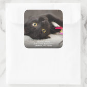 キュートブラックキャット差出人住所 スクエアシール (バッグ)