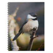 キュートブラックキャップ《鳥》アメリカゴガラオンブランチ ノートブック (正面)