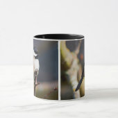 キュートブラックキャップ《鳥》アメリカゴガラオンブランチ マグカップ (中央)