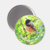 キュートブラックキャップ《鳥》アメリカゴガラ野鳥自然 マグネット (正面/裏面)