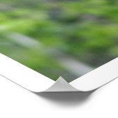 キュートブラックベアカブ登山アツリーポスター ポスター (角)