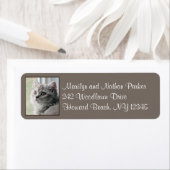 キュートブリティッシュロングヘアキッテン差出人住所ラベル ラベル (インサイチュ)