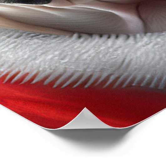 キュートブルフランスのドッグサンタクリスマスホリデーデザイン ポスター (角)