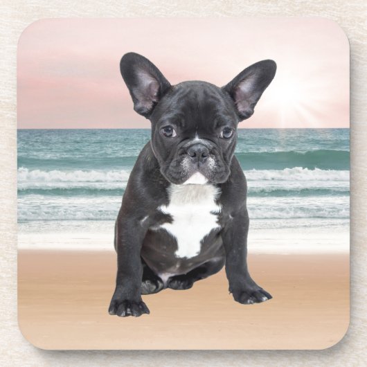 キュートブルフランスのドッグビーチサンウォーター コースター (正面)