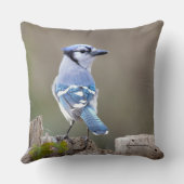 キュートブルージェイSongbird on Treestump クッション (裏面)