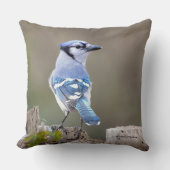 キュートブルージェイSongbird on Treestump クッション (正面)