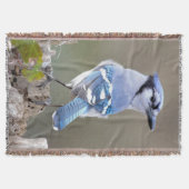 キュートブルージェイSongbird on Treestump スローブランケット (正面)
