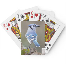 キュートブルージェイSongbird on Treestump