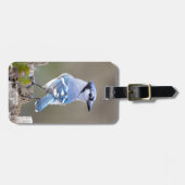 キュートブルージェイSongbird on Treestump ラゲッジタグ (正面横)