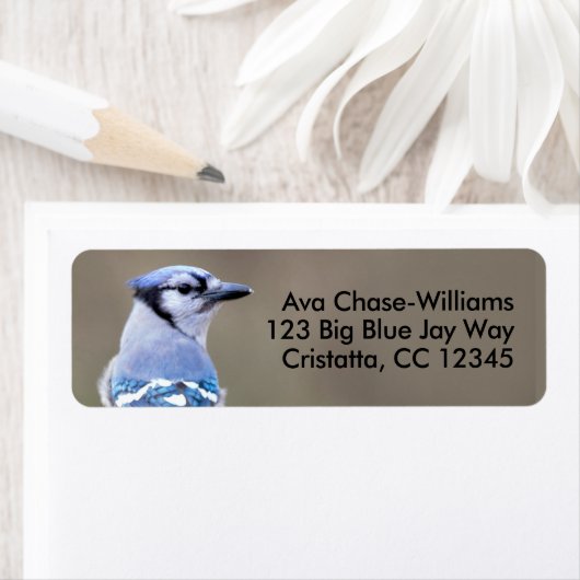 キュートブルージェイSongbird on Treestump ラベル (インサイチュ)