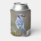 キュートブルージェイSongbird on Treestump 缶クーラー (缶裏面)