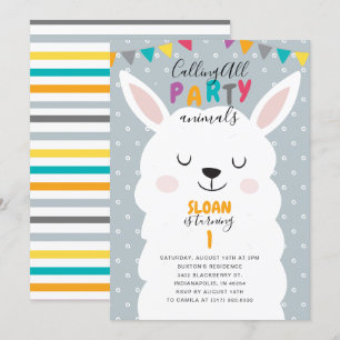 キュートブルーラマおもしろいフィエスタバースデーパーティー 招待状