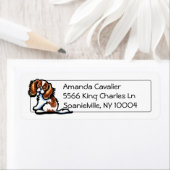 キュートブレンハイムCKCSスタジオシンプル ラベル (インサイチュ)