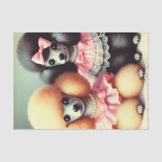 キュートプードルイラストレーション 薄葉紙 (正面)