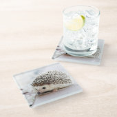 キュートヘッジホッグベビー ガラスコースター (アングル)