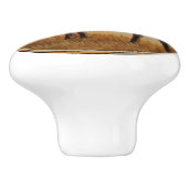 キュートベイクォーターホースフォール セラミックノブ (側面)