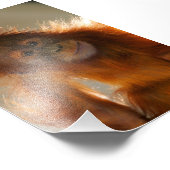 キュートベビーオラングタン フォトプリント            (角)